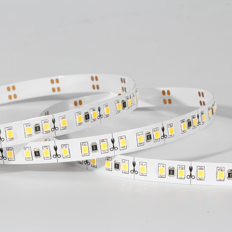 single-color-2835sd-led-strip-2-1.jpg
